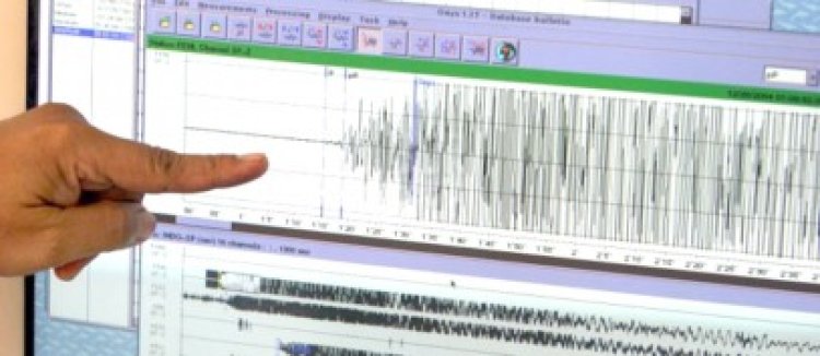 Cutremur resimţit şi în sudul litoralului